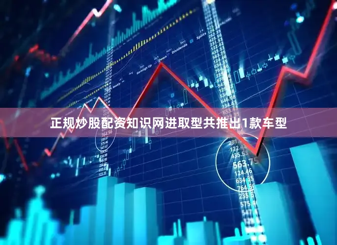 正规炒股配资知识网进取型共推出1款车型
