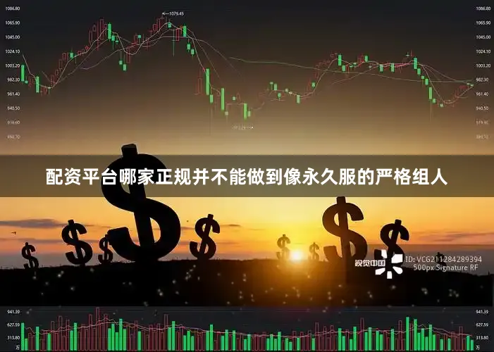 配资平台哪家正规并不能做到像永久服的严格组人