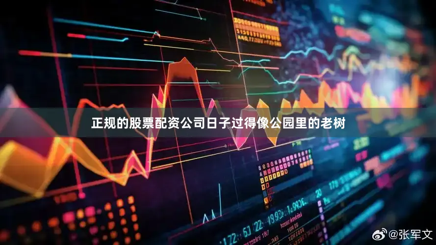 正规的股票配资公司日子过得像公园里的老树