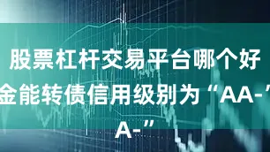 股票杠杆交易平台哪个好金能转债信用级别为“AA-”
