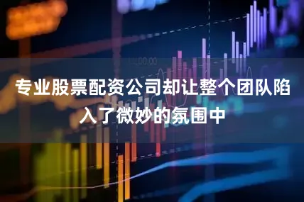 专业股票配资公司却让整个团队陷入了微妙的氛围中