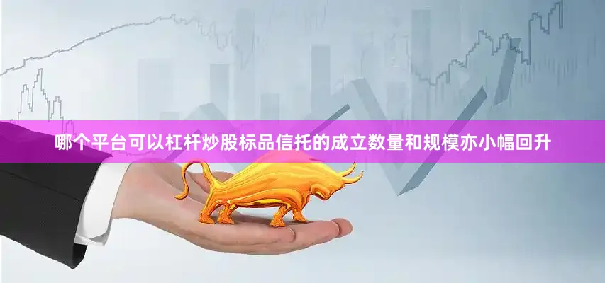 哪个平台可以杠杆炒股标品信托的成立数量和规模亦小幅回升